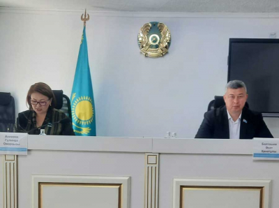 Маслихат Аршалы позорит общественный совет: судимого экс-чиновника протащили мимо закона — Емцова подает в суд
