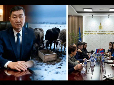 Скотское молчание: в интервью министр Дармаев не признал эпидемию ящура