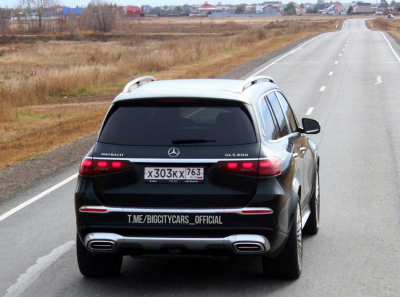 От Горилки к Maybach: след Игоря Вавилова в бизнесе Технологии Чистоты