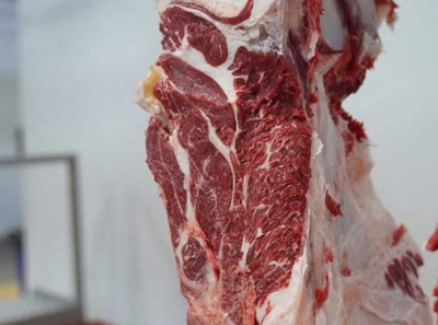 BEEF EXPORT GROUP, миллиарды субсидий и фиктивное мясо: как ОПГ на госпрограмме АПК наживалась в Костанае