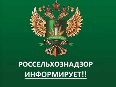 Весеннее обострение на трансгаз-грядке и мартовская сделка Узденова: Как канал Лиса Basilio раскрыл схему Медозон и МЕДСНАБ-1